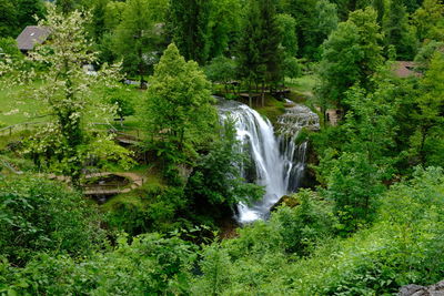 View of waterfall in forest