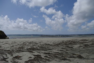 Scenic view of beach against sky