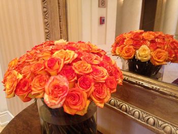 Close-up of roses