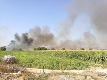 Scenic view of field against sky