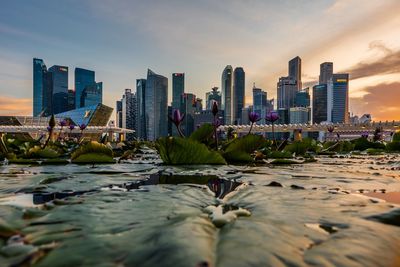 Lake against modern buildings in city during sunset