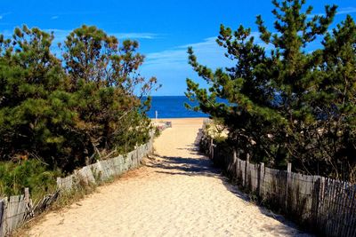 Scenic view of beach against clear blue sky