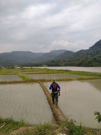 Rear view of man on farm against sky