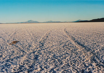 Scenic view of landscape against blue sky