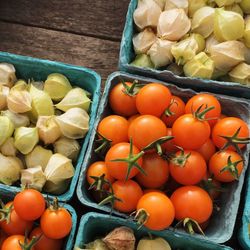 High angle view of tomatoes