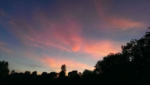 Silhouette of trees at sunset