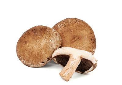 Close-up of fruit against white background