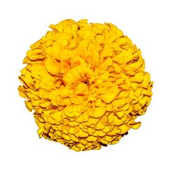 Close-up of yellow object over white background