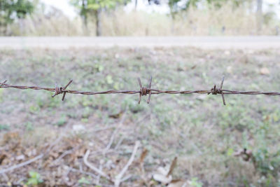 Close-up of rusty barbed wire against field