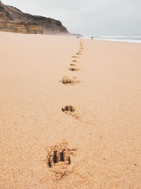 Footprints on sand at beach against sky