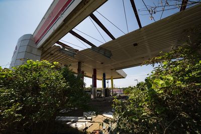 Low angle view of trees and buildings against sky