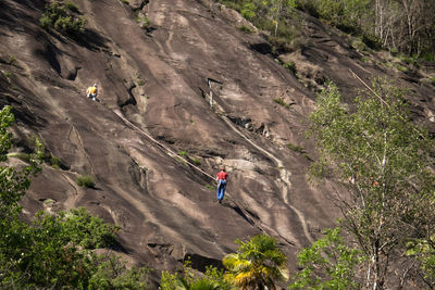 Rear view of people climbing on mountain