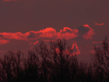 Silhouette trees against dramatic sky during sunset