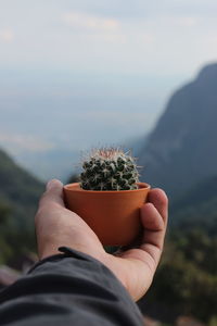 Cropped hand of man holding potted cactus plant against sky