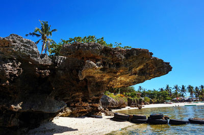 Trees on cliff against blue sky