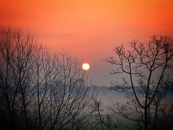 Bare trees against sky at sunset