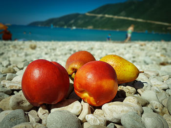 Close-up of apples on beach