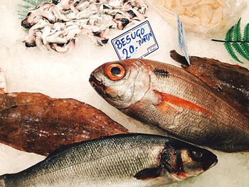 Close-up of fish for sale