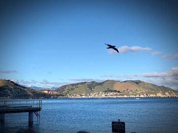 Seagull flying over sea against sky
