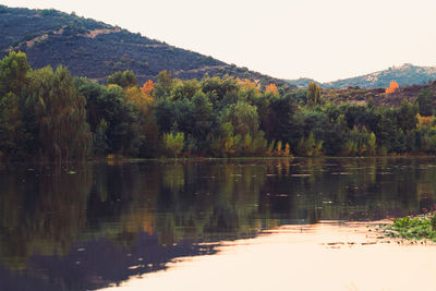 Scenic view of lake in forest against clear sky