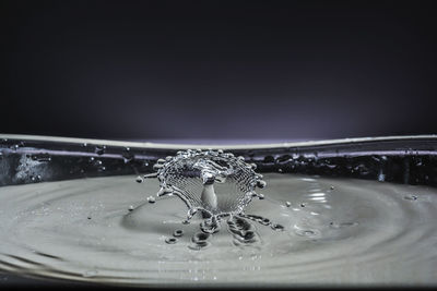 Close-up of water splashing against black background