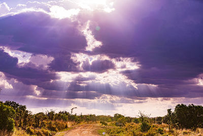 sky
