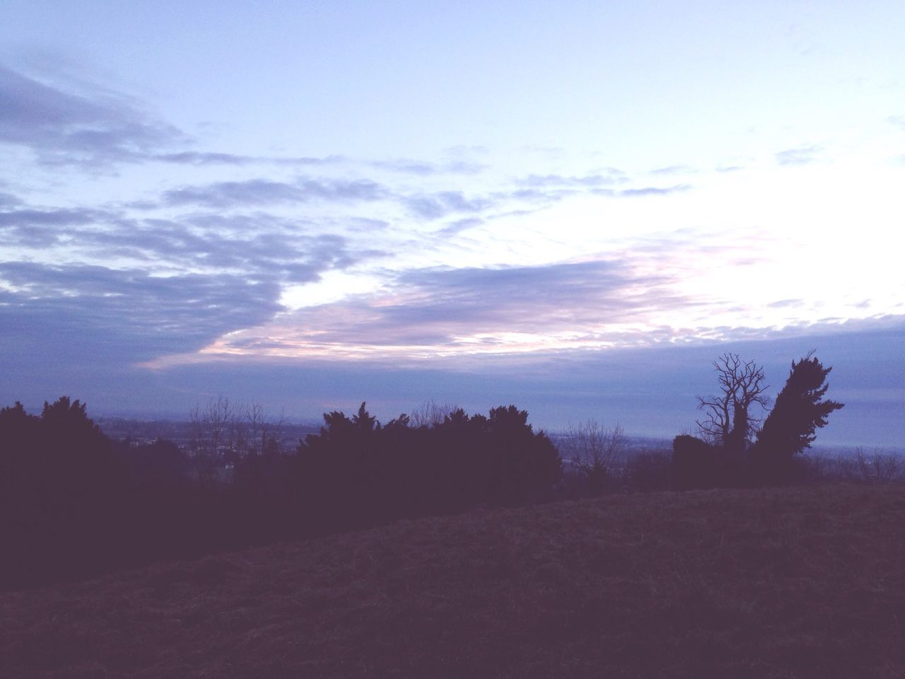 tranquil scene, tranquility, sky, tree, scenics, beauty in nature, landscape, silhouette, nature, cloud - sky, sunset, field, cloud, idyllic, non-urban scene, growth, outdoors, cloudy, no people, remote