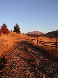 Scenic view of landscape against clear sky