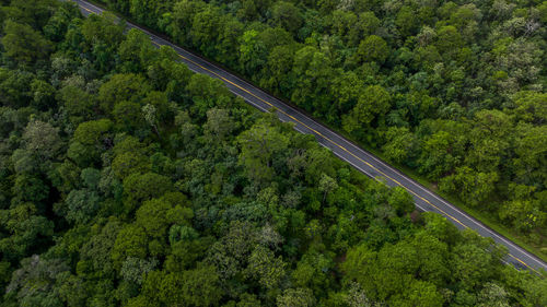 Aerial view over forest road with asphalt road and forest, road in the middle of the forest.