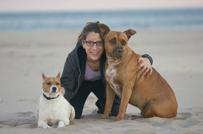 Portrait of dog on beach