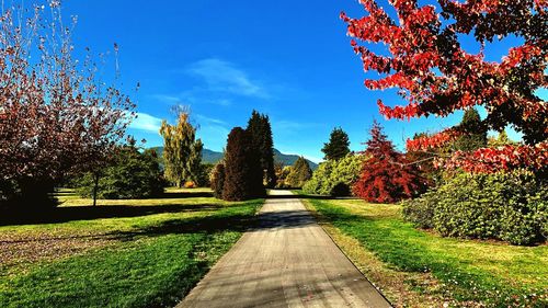 Footpath amidst trees in park against sky during autumn