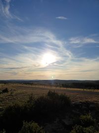 Scenic view of field against sky during sunset