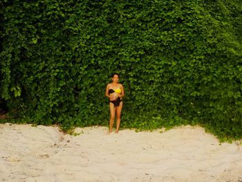 Full length portrait of woman wearing bikini standing against leaves at beach