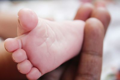 Low section of baby feet