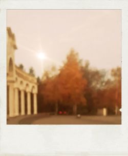 Defocused image of trees and buildings against sky