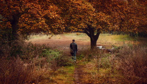 Rear view of man walking on field amidst plants