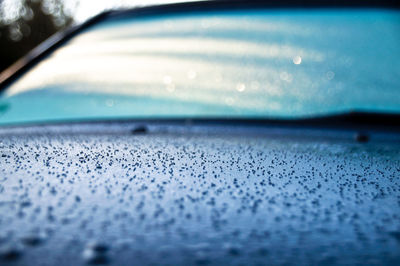 Close-up of wet car window