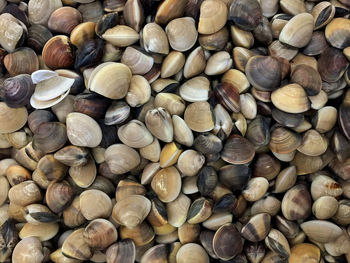 Full frame shot of pebbles