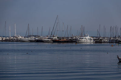 Sailboats moored at harbor