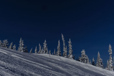 Sunny winter morning in the mountains of sheregesh on the ski track