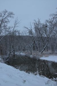 Bare trees on landscape against sky during winter