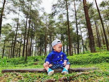 Boy sitting on land in forest