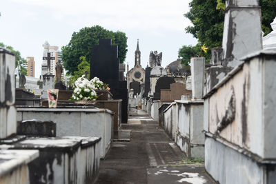 View of the campo santo cemetery in the city of salvador, bahia.