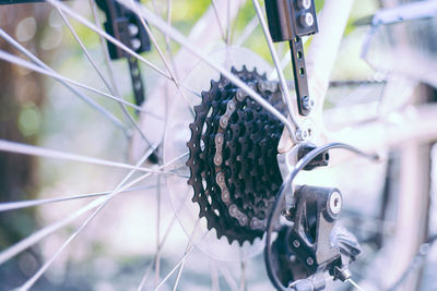 Close-up of bicycle in basket