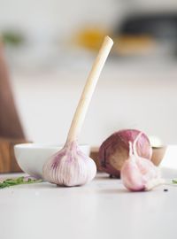 Close-up of onion on table