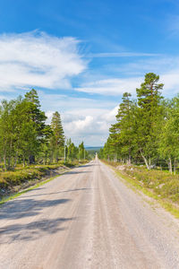 Gravel road in a forest in the north with a long straight line