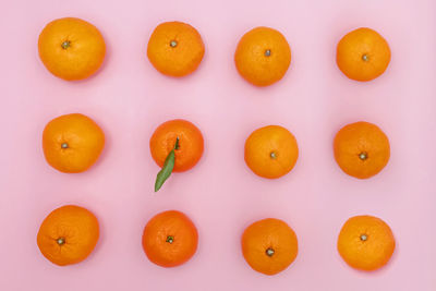 fruit