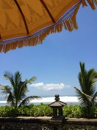 Low angle view of palm trees against blue sky