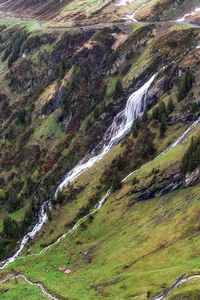 scenics - nature