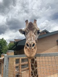 Low angle view of statue against sky